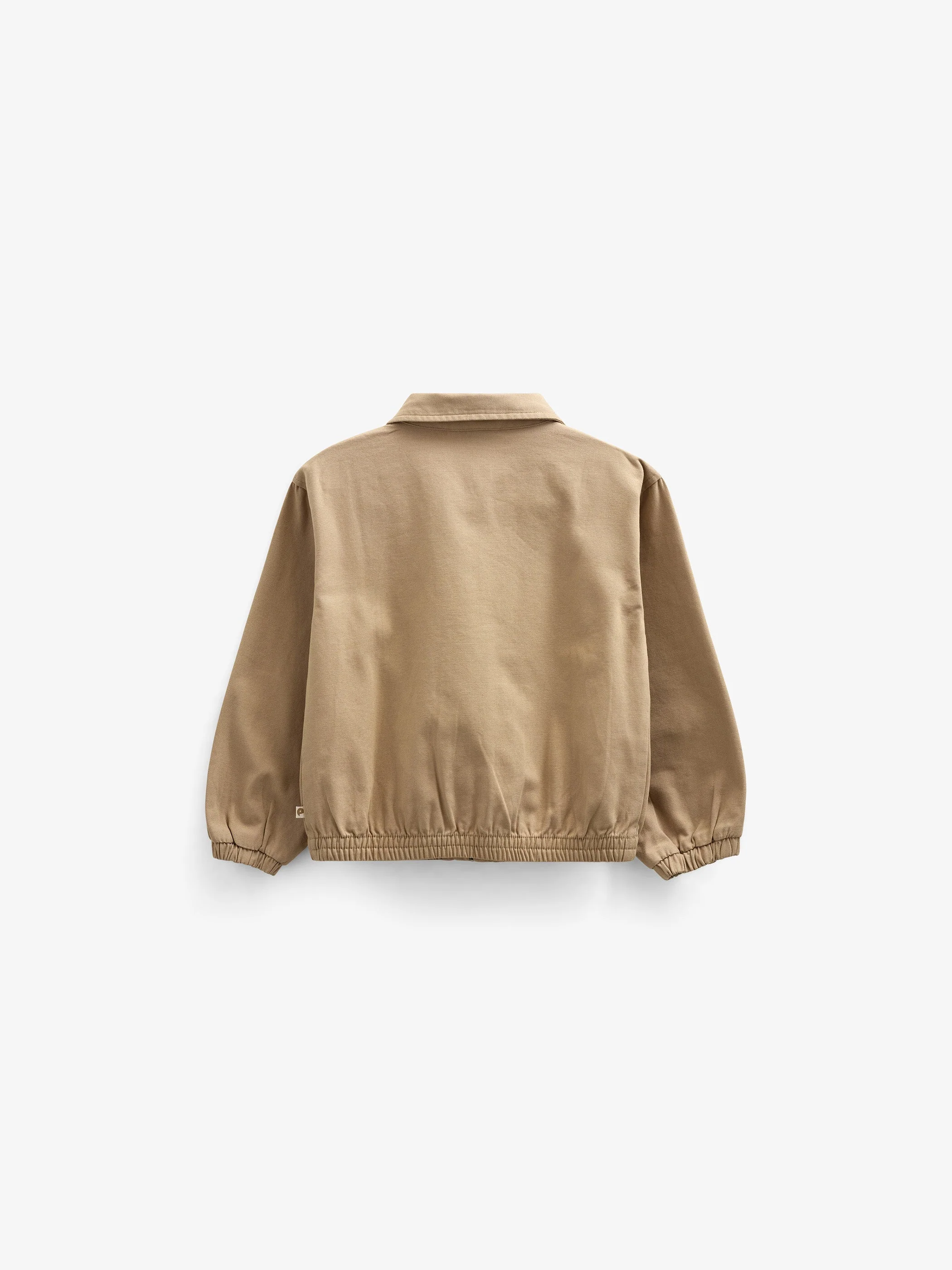 Canvas Bomberjacke - Tween - Khaki | 101137 Isack - Image 3